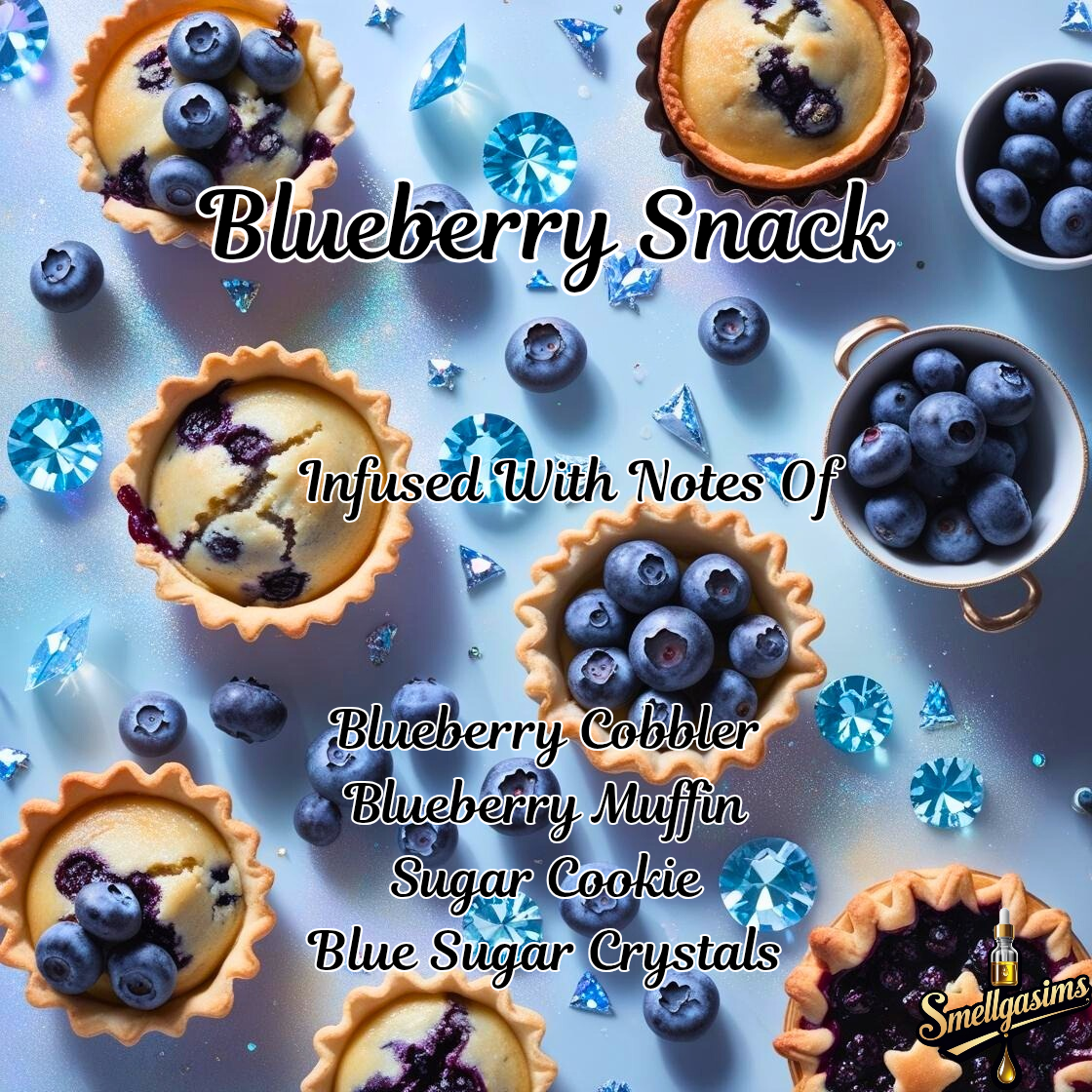 Blueberry🫐 Snack 🥧