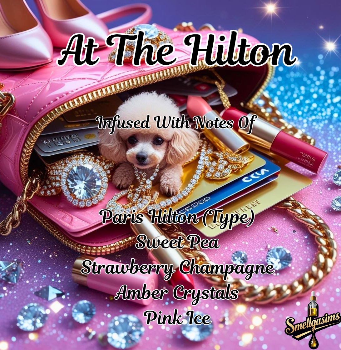 At The Hilton 👠💳💄🐩