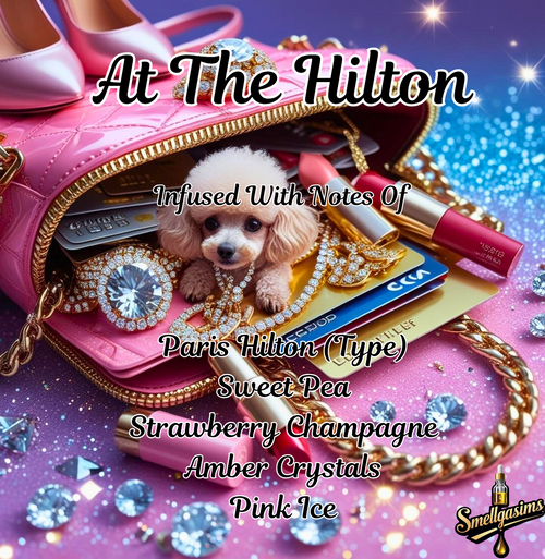 At The Hilton 👠💳💄🐩